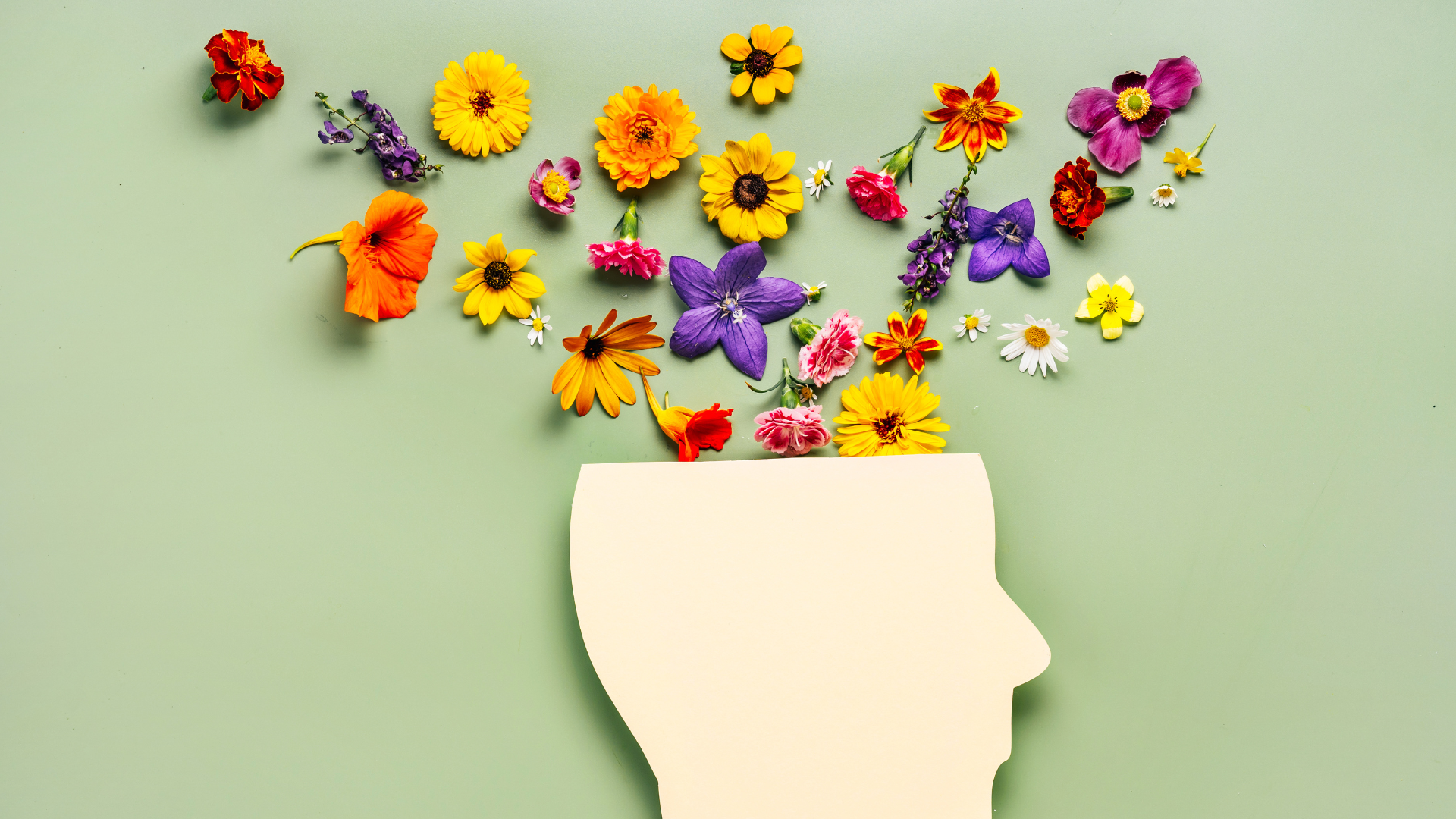 Novamind - 5 rituels simples pour maintenir ton équilibre mental chaque semaine