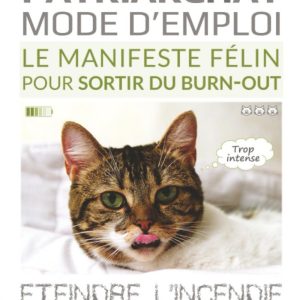 Patriarchat mode d'emploi: Éteindre l'incendie, rallumer la flemme